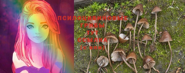 MESCALINE Пролетарск