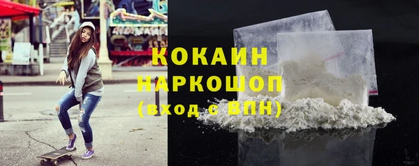 прущие грибы Протвино