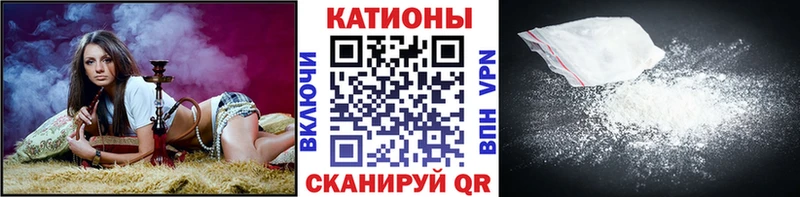 закладки  Алексеевка  МЯУ-МЯУ мяу мяу 